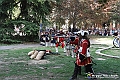 VBS_5120 - 316° Anniversario dell'Assedio di Torino del 1706